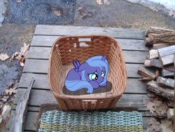 Size: 3072x2304 | Tagged: safe, artist:aetherlordignus, princess luna, alicorn, pony, adoption, basket, crying, cute, filly, firewood, frown, leaves, lying, lying down, mat, ponies in real life, pony in a basket, prone, sad, shadow, solo, spread wings, vector, woona