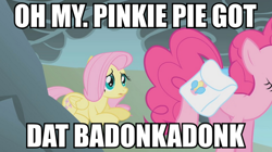 Size: 892x500 | Tagged: safe, screencap, fluttershy, pinkie pie, earth pony, pegasus, pony, image macro, large butt, meme, text