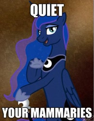 Size: 313x404 | Tagged: safe, princess luna, alicorn, pony, calm your tits, female, image macro, joseph ducreux, luna ducreux, meme, ponified, reaction image, solo, ye olde english