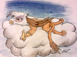 Size: 2048x1536 | Tagged: safe, artist:werewolfsnot, derpibooru import, gilda, griffon, cloud, solo, traditional art