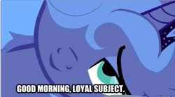 Size: 626x349 | Tagged: safe, princess luna, alicorn, pony, bedroom eyes, bronybait, image macro, messy mane, morning ponies, s1 luna, solo