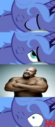 Size: 568x1300 | Tagged: safe, artist:phenomdashx4, princess luna, alicorn, pony, bed meme, big show, exploitable meme, forced meme, meme, morning after, professional wrestler, waking up, wwe