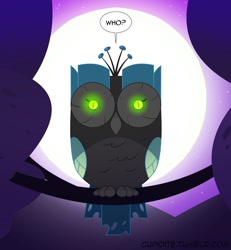 Size: 1280x1383 | Tagged: safe, artist:tarajenkins, queen chrysalis, changeling, changeling queen, owl, backlighting, birdified, cupidite, disguise, disguised changeling, moon, night, solo