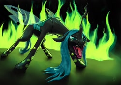 Size: 1600x1134 | Tagged: safe, artist:welcometodai, queen chrysalis, changeling, changeling queen, fangs, female, fire, frown, open mouth, signature, solo, standing