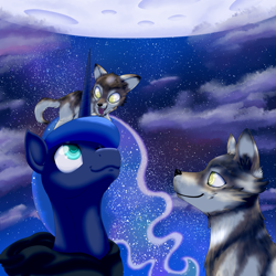 Size: 3000x3000 | Tagged: safe, artist:havikm66, princess luna, alicorn, pony, wolf, clothes, hoodie, looking at each other, looking down, looking up, moon, night, night sky, smiling