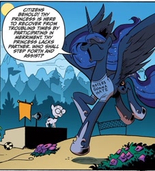 Size: 572x631 | Tagged: safe, edit, idw, princess luna, alicorn, pony, spoiler:comic, spoiler:comic09, clothes, haters gonna hate, magic shirt, t-shirt