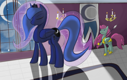 Size: 1224x768 | Tagged: safe, artist:madacon, princess luna, alicorn, pegasus, pony, crown, duo, duo female, female, mare, royal guard