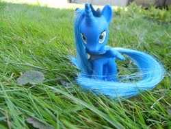 Size: 900x675 | Tagged: safe, artist:customanon, princess luna, brushable, custom, grass, irl, photo, solo, toy