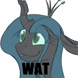 Size: 500x500 | Tagged: safe, artist:kyroking, queen chrysalis, changeling, changeling queen, image macro, reaction image, solo, wat