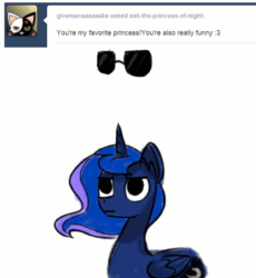 Size: 900x980 | Tagged: safe, artist:talludde, princess luna, alicorn, pony, animated, ask, ask the princess of night, dialogue, female, mare, simple background, solo, sunglasses, tumblr, vulgar, white background