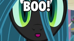 Size: 960x540 | Tagged: safe, edit, edited screencap, screencap, queen chrysalis, changeling, changeling queen, a canterlot wedding, image macro, looking at you, roflbot, solo