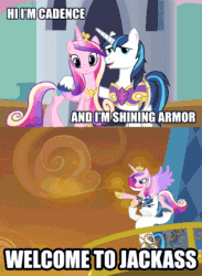 Size: 458x624 | Tagged: safe, edit, edited screencap, screencap, princess cadance, queen chrysalis, shining armor, alicorn, changeling, changeling queen, pony, unicorn, spoiler:s03, animated, epic wife tossing, fake cadance, fastball special, image macro, jackass, meme
