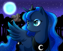 Size: 1024x832 | Tagged: safe, artist:f0xybat, princess luna, alicorn, bird, pony, moon, night, solo, stars