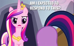 Size: 560x352 | Tagged: safe, edit, edited screencap, screencap, princess cadance, queen chrysalis, twilight sparkle, alicorn, changeling, changeling queen, pony, a canterlot wedding, ass up, caption, dialogue, fake cadance, female, mare, plot