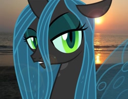 Size: 804x624 | Tagged: safe, artist:midnalover101, queen chrysalis, changeling, changeling queen, beach, irl, photo, ponies in real life, sunset, vector