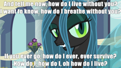 Size: 992x558 | Tagged: safe, edit, edited screencap, screencap, queen chrysalis, changeling, changeling queen, a canterlot wedding, bedroom eyes, homestuck, image macro, lyrics, nicolas cage, solo, song reference