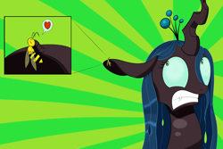 Size: 1500x1000 | Tagged: safe, artist:drakmire, queen chrysalis, bee, changeling, changeling queen, female, heart, pictogram, sunburst background