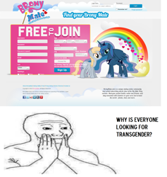 Size: 1328x1398 | Tagged: safe, derpy hooves, princess luna, alicorn, pony, brony, bronymate, feels, female, heart, lesbian, op is a cuck, op is trying to start shit, rainbow, shipping, text, transgender, website, why