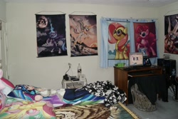 Size: 1920x1280 | Tagged: safe, dj pon-3, fluttershy, pinkie pie, princess celestia, princess luna, vinyl scratch, human, body pillow, humanized, irl, photo, poster, room