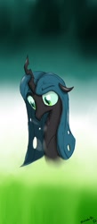 Size: 700x1600 | Tagged: safe, artist:salvador-dl, queen chrysalis, changeling, changeling queen, bust, portrait, solo