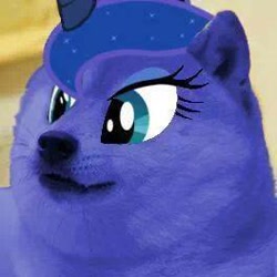 Size: 264x264 | Tagged: safe, edit, princess luna, doge, lune, meme, solo, species swap