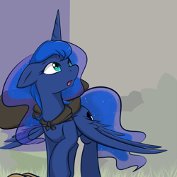 Size: 1600x1600 | Tagged: safe, artist:theparagon, princess luna, alicorn, pony, cloak, clothes, hunted luna, night, solo, wide eyes