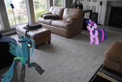 Size: 4000x2664 | Tagged: safe, artist:venom2204, queen chrysalis, twilight sparkle, changeling, changeling queen, blurry, carpet, house, ponies in real life, sad, sofa, vector