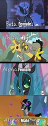 Size: 378x989 | Tagged: safe, discord, king sombra, nightmare moon, queen chrysalis, changeling, changeling queen, pony, unicorn, antagonist