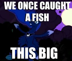 Size: 369x311 | Tagged: safe, edit, edited screencap, screencap, princess luna, alicorn, pony, luna eclipsed, bragging, cropped, fishing, image macro, meme, royal we, solo