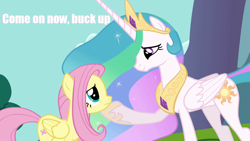 Size: 1280x720 | Tagged: safe, fluttershy, princess celestia, alicorn, pegasus, pony, caption, cheer up, female, mare