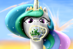 Size: 800x533 | Tagged: safe, artist:everypone, princess celestia, alicorn, pony, looking at you, solo, tea, teacup