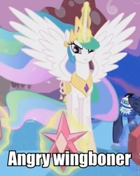 Size: 627x785 | Tagged: safe, princess celestia, alicorn, pony, princess twilight sparkle (episode), image macro, magic, wingboner