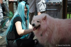 Size: 999x662 | Tagged: artist needed, safe, queen chrysalis, oc, oc:fluffle puff, dog, human, cosplay, irl, irl dog, irl human, photo