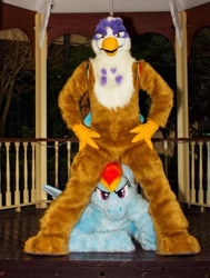 Size: 512x677 | Tagged: safe, artist:neouka, artist:spainfischer, derpibooru import, gilda, rainbow dash, griffon, cosplay, fursuit, gangnam style, irl, photo, sydneyroo(coser)