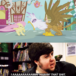 Size: 700x700 | Tagged: safe, derpibooru import, screencap, fluttershy, gilda, bird, griffon, human, griffon the brush off, exploitable meme, gilda drama, i aint havin that shit, irl, irl human, jacques, jontron, jontron thread, meme, nightshade: the claws of heugh, photo, roar, vulgar