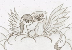 Size: 2319x1592 | Tagged: safe, artist:rossmaniteanzu, derpibooru import, gilda, oc, griffon, canon x oc, cloud, couple, monochrome, traditional art