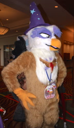 Size: 735x1280 | Tagged: safe, artist:gilda, artist:neouka, artist:spainfischer, derpibooru import, gilda, griffon, 2014, accessory swap, convention, cosplay, element of loyalty, everfree northwest, fursuit, irl, photo, solo, sydneyroo(coser), trixie's hat