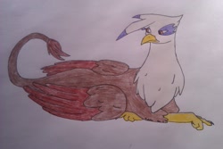 Size: 2592x1728 | Tagged: safe, artist:raakshii, derpibooru import, gilda, griffon, traditional art