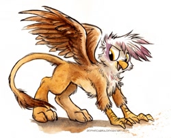 Size: 730x589 | Tagged: safe, artist:kenket, artist:spainfischer, derpibooru import, gilda, griffon, chest fluff, cute, fluffy, simple background, solo, traditional art