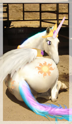 Size: 597x1024 | Tagged: artist needed, safe, princess celestia, alicorn, horse, pony, /mlp/, 4chan, both cutie marks, cutie mark, female, hoers, i can tell by the pixels, irl, irl horse, large butt, looking back, majestic as fuck, mare, photo, photoshop, plot, princess celestia is a horse, prone, realistic, realistic anatomy, recolored hoers, solo, wat