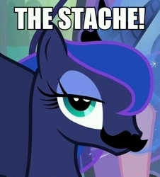 Size: 432x477 | Tagged: safe, princess luna, alicorn, pony, female, horn, image macro, mare, moustache, solo