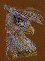 Size: 600x807 | Tagged: safe, artist:maytee, derpibooru import, gilda, griffon, portrait, profile, solo, traditional art