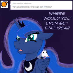 Size: 500x500 | Tagged: safe, artist:timid tracks, princess luna, tiberius, alicorn, pony, ask-luna-and-tiberius, female, lumbra, male, shipping, shipping denied, straight, tumblr