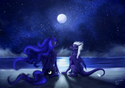 Size: 3500x2480 | Tagged: safe, artist:dalagar, princess luna, oc, alicorn, dragon, pony, moon, night, stars