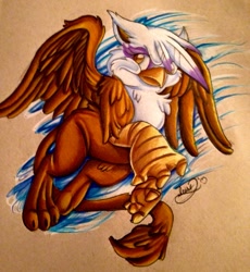 Size: 883x960 | Tagged: safe, artist:dyrxius, derpibooru import, gilda, griffon, solo, traditional art