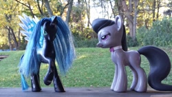 Size: 800x450 | Tagged: safe, artist:pixelkitties, octavia melody, queen chrysalis, changeling, changeling queen, earth pony, pony, bedroom eyes, funko, toy