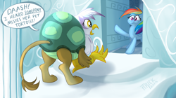 Size: 1200x670 | Tagged: safe, artist:1trick, derpibooru import, gilda, rainbow dash, griffon, pegasus, pony, tortoise, tanks for the memories, animal costume, clothes, costume, cute, desperate, dialogue, frown, gildadorable, not sure if want, open mouth, rainbow dash's house, smiling, surprised, wide eyes