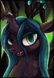 Size: 611x886 | Tagged: safe, artist:bluefirewings, queen chrysalis, changeling, changeling queen, female, solo