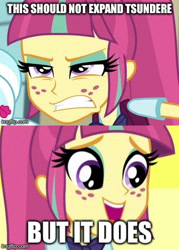 Size: 339x474 | Tagged: safe, edit, edited screencap, screencap, sour sweet, equestria girls, friendship games, caption, expand dong, exploitable meme, image macro, meme, sourdere, tsundere