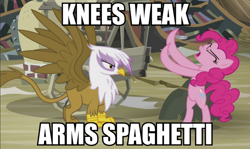 Size: 840x500 | Tagged: safe, derpibooru import, edit, screencap, gilda, pinkie pie, earth pony, griffon, pony, the lost treasure of griffonstone, duo, eminem, female, great moments in animation, image macro, lose yourself (eminem), mare, meme, mom's spaghetti, smear frame